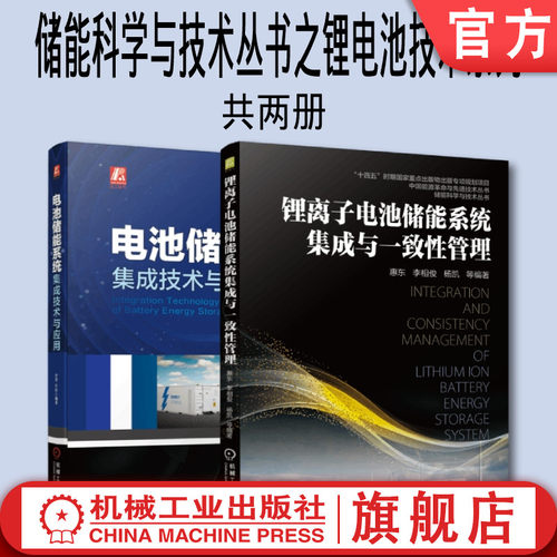 套装 官网正版 电池储能系统集成技术 共2册 锂离子电池储能系统集成与一致性管理 电池储能系统集成技术与应用
