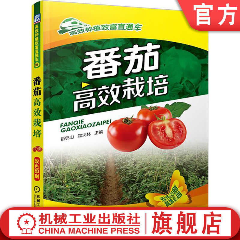 官网正版 番茄高效栽培 苗锦山 沈火林 生育特性 优良品种 棚室设施设计建造 育苗技术 露地栽培 大拱棚 日光温室 病虫害诊断