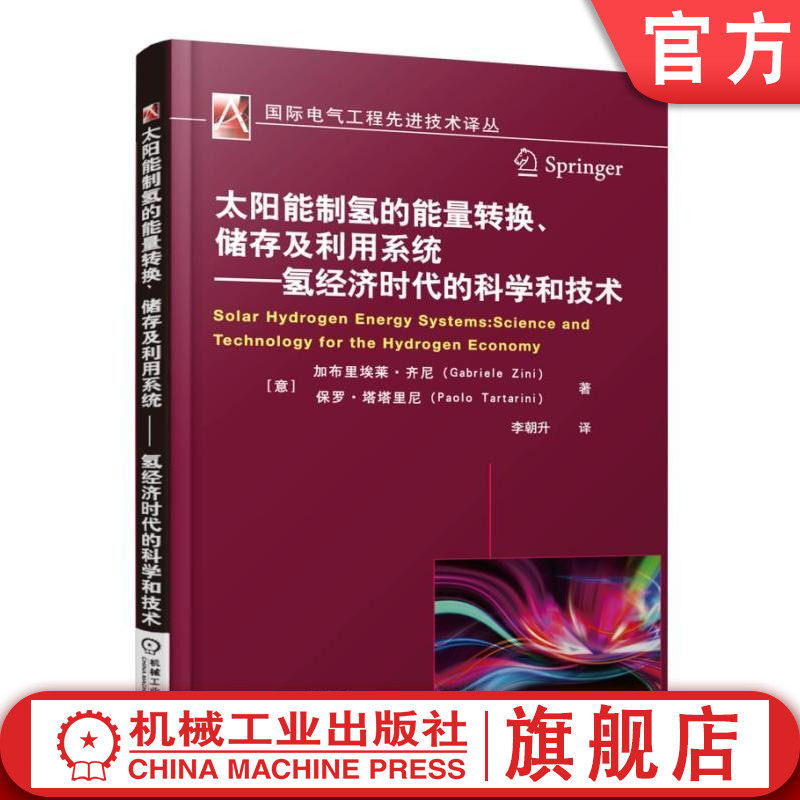 官网正版 太阳能制氢的能量转换储存及利用系统 氢经济时代的科学和技术 齐尼 塔塔里尼 石油峰值理论 蒸汽重整 固体燃料汽化