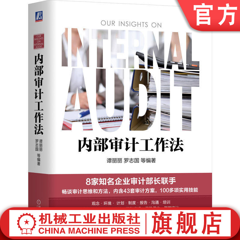 官网正版 内部审计工作法 谭丽丽 罗志国 营造内部设计环境 编制审计计划 反舞弊审计 大数据运用 审计报告撰写和沟通 内审案例
