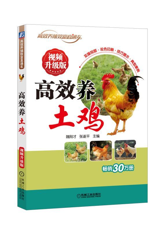 高 效养土鸡 视频升级版 魏刚才 养殖致富直通车 经典实用技术图书 农业