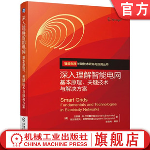 基本原理关键技术与解决方案 变电站 信息和通信 输电网 深入理解智能电网 监测 贝恩德 配电网设计 官网正版 巴克霍尔兹