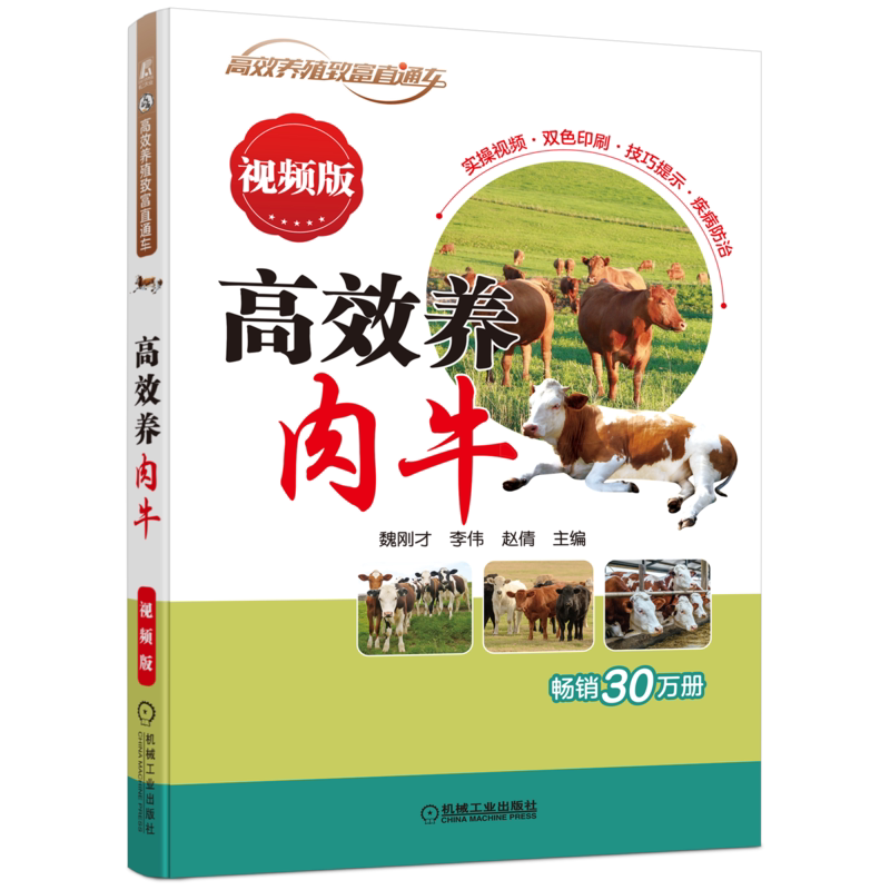 高效养肉牛视频版魏刚才
