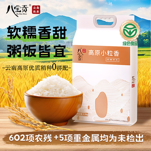 云南农科院研发新米种 小粒香 特别软糯香