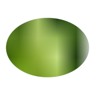 龙柏苗龙柏树苗 小龙柏球 蜀块塔柏蜀桧苗四季长青绿篱宝塔松树苗