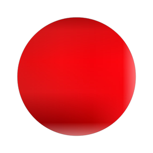 工程绿化苗 庭院行道树苗 朴树苗 朴树树苗 厚朴朴树小苗树