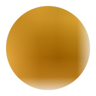 占地拆迁苗 银杏树苗 白果小苗 行道绿化苗木 庭院植物银杏苗直销