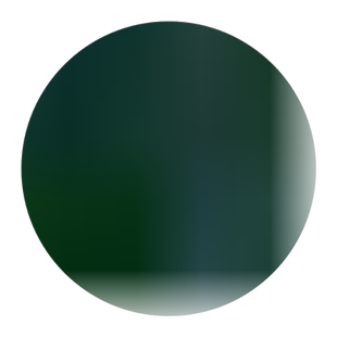 水果黄瓜苗春季夏四季盆栽无架小黄瓜旱绿瓤黄瓜苗子蔬菜苗