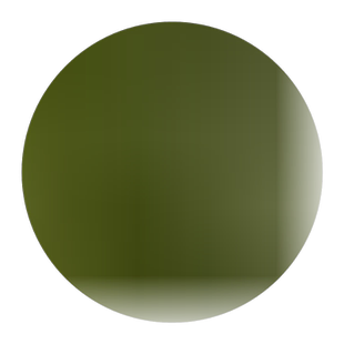 法桐苗木行道树苗园林绿化植物青桐法国青皮梧桐苗庭院泡桐树苗