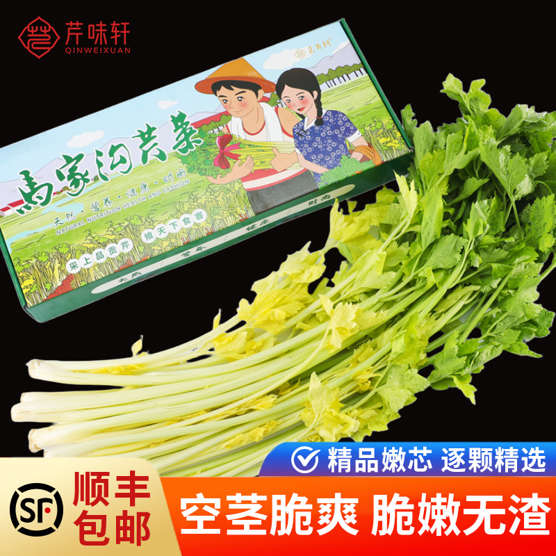 山东新鲜蔬菜马家沟芹菜