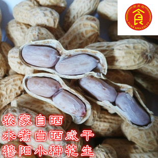 【水煮白晒小种花生】穆阳花生福安特产溪谭 淡咸正宗原味包邮
