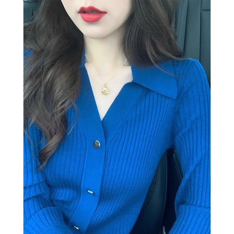 法式高级感洋气克莱因蓝秋季针织开衫女设计感小众polo领修身上衣