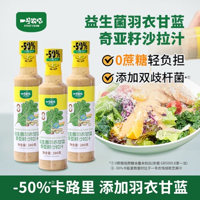 羽衣甘蓝奇亚籽沙拉汁沙拉伴侣