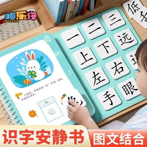 幼儿识字早教安静书3-6岁认字神