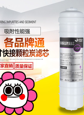 一体式UDF颗粒碳 韩式快接UDF活性碳10寸净水器UDF颗粒活性碳滤芯