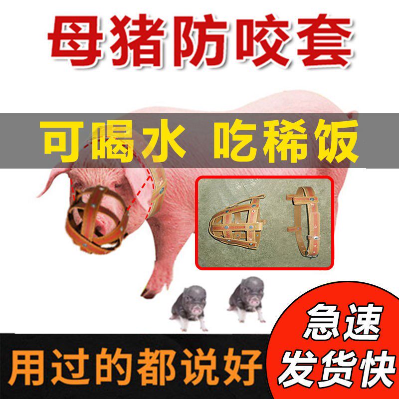 母猪嘴笼猪嘴套防咬套小猪崽仔猪防咬架神器牛马嘴套养殖猪嘴罩