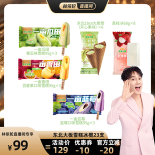 东北大板一亩瓜田/蓝莓大脆筒荔枝冰多口味冰淇淋雪糕冰棍组合