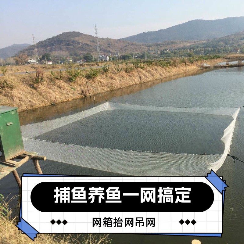 尼龙抬网养鱼网箱式抬网鱼池吊网养鱼网存网地网自动抬网