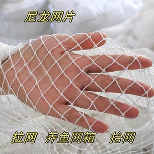 白色尼龙网捕鱼网尼龙拉网渔网养殖网箱抬网渔网拖网吊渔网网片