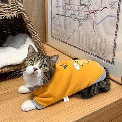 猫咪专用过冬衣服季衣服防掉毛加绒保暖小奶猫布蓝猫小猫猫秋冬款
