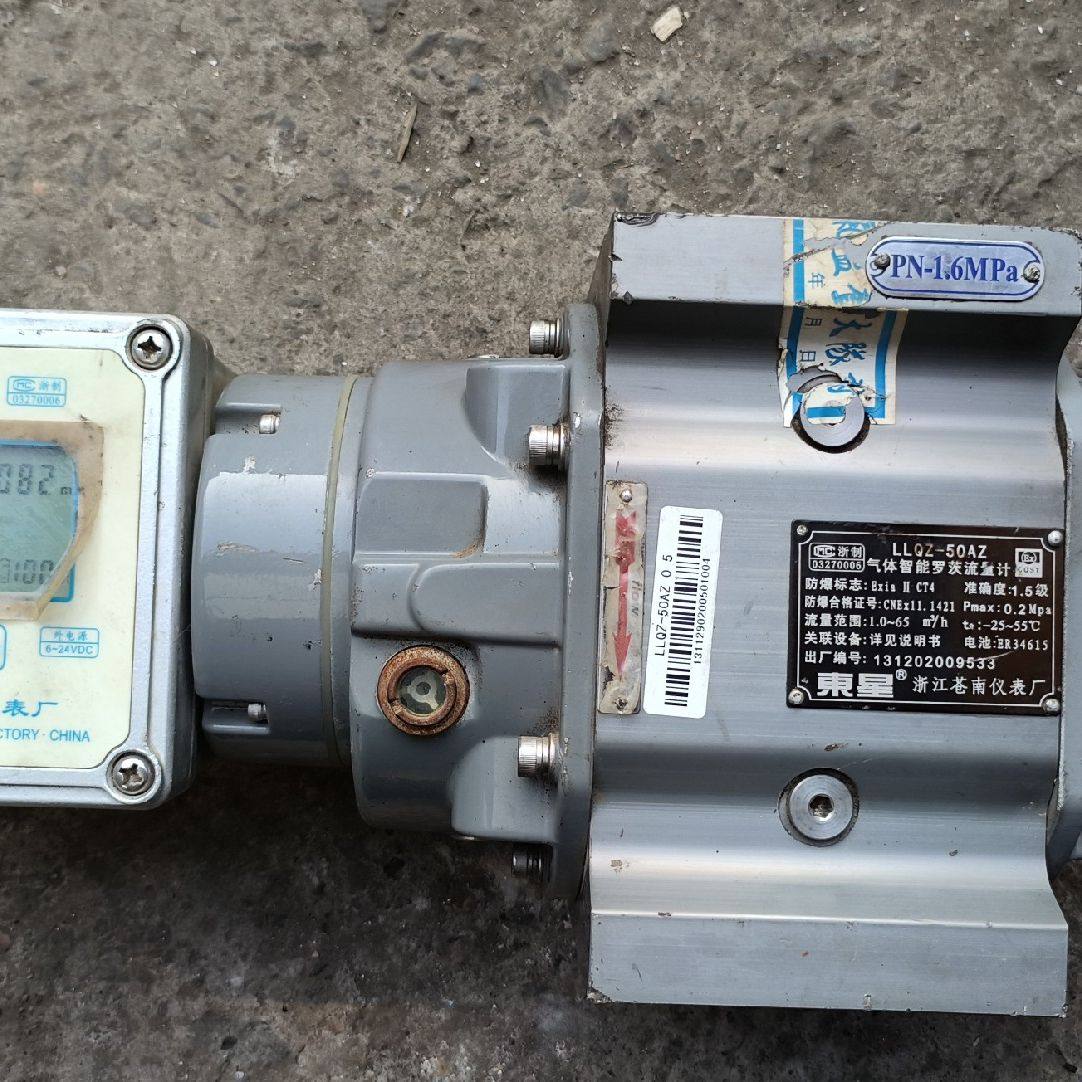 罗茨气体智能流量计LLQZ-50AZ