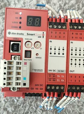 AB罗克韦尔1752-L24BBB 二手拆机成色如图 功能正
