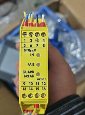 拆机 睿奥REER安全继电器 ADSR1  AD S