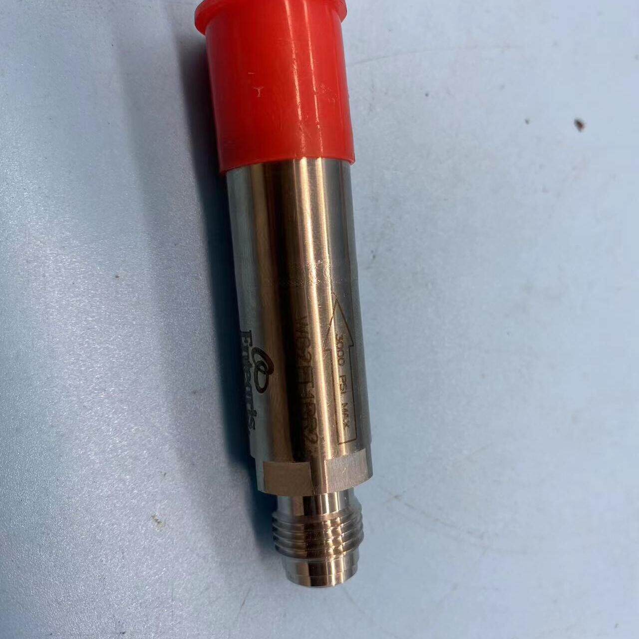 Entegris WG2FT1RR2过滤器 14