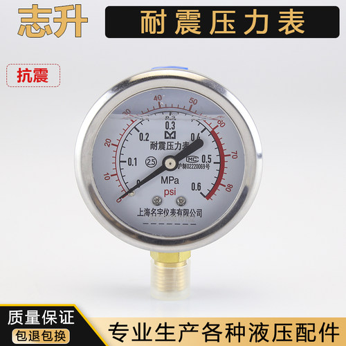 耐震压力表YN-60径向精准测量