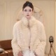 立领时尚 狐狸毛皮草外套女短款 新款 百搭显瘦网红爆款 鎏金少女