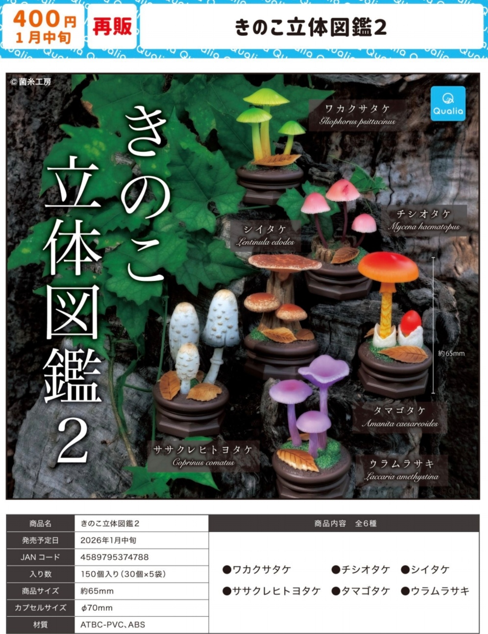 1月Qualia 再版立体图鉴2 仿真植物蘑菇菌菇摆件农场精灵日本扭蛋