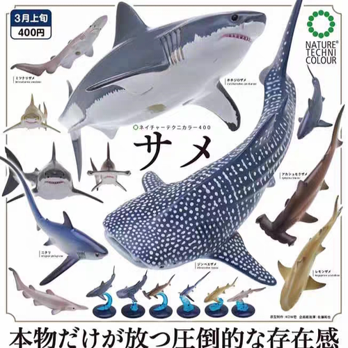 现货 奇谭俱乐部 NTC海洋生物 鲨鱼鲸鲨 大白鲨 底座摆件日本扭蛋
