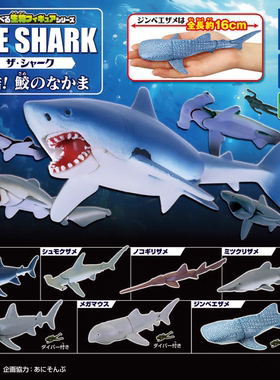 现货多美TOMY扭蛋THE SHARK可动鲨鱼结篇鲸鲨大白鲨锤头鲨模型