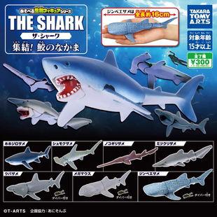 现货多美TOMY扭蛋THE SHARK可动鲨鱼结篇鲸鲨大白鲨锤头鲨模型
