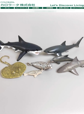 colorata日本蝴蝶社仿真海洋动物玩具摆件模型 鲨鱼海豚海豹魟鱼