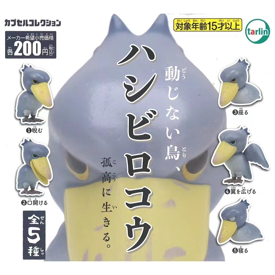 日本正版EPOCH扭蛋  鸟类模型 动物摆件 鲸头鹳一动不动模型玩具