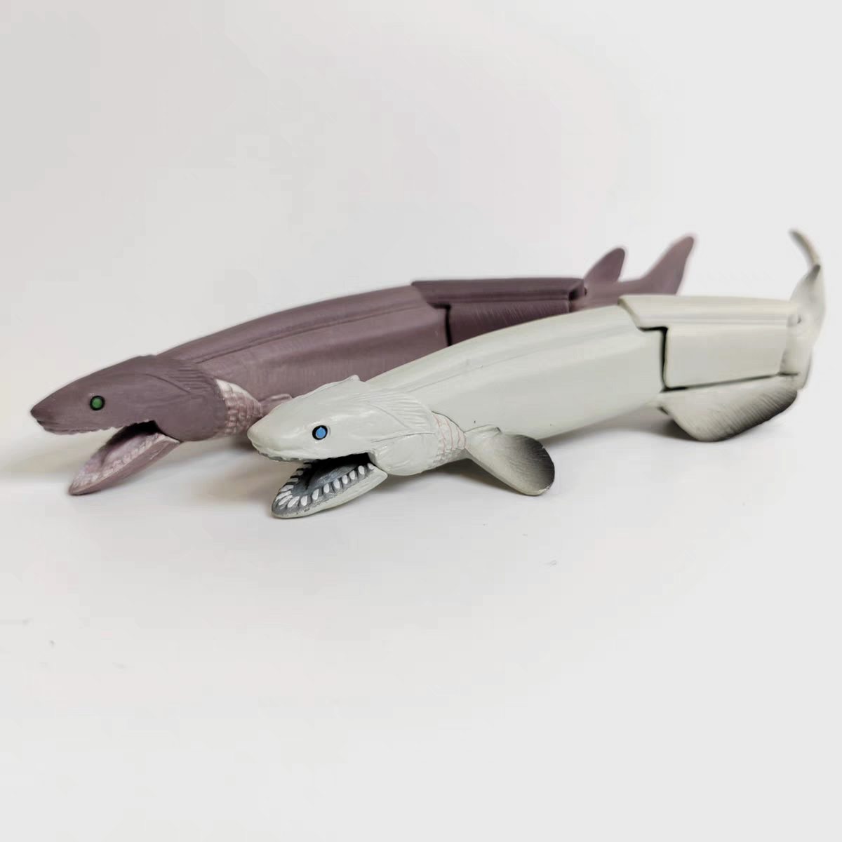 正版扭蛋散货TOMY T-ARTS 深海的秘密 海底世界  皱鳃鲨模型摆件