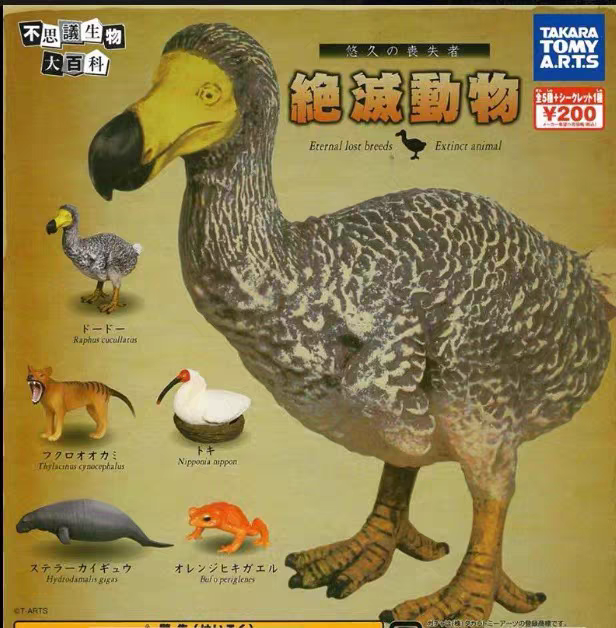 现货正版日本扭蛋不可思议生物大百科 日版扭蛋绝灭动物模型摆件