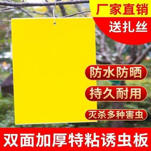 粘虫板大棚专用双面黄板小黑飞果蝇诱捕器诱虫板贴纸农用家用花园
