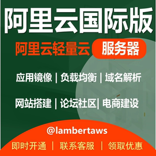 轻量云服务器阿里云域名解析镜像网站发布跨地域无缝迁移跨境电商