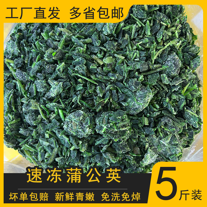 速冻蒲公英碎新鲜冷冻婆婆丁野菜切碎5斤山野菜馄饨饺子馅半成品