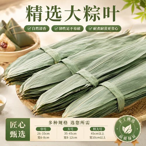 粽叶干大号粽子叶包粽子的叶子芦苇专用老式批发棕叶新鲜竹叶特大