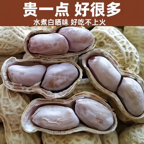 新货龙岩特产水煮白晒咸干花生蒜香五香多味带壳花生米坚果炒货零