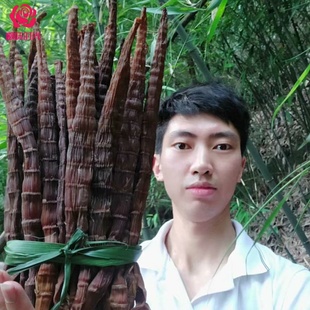 新笋正宗贵州赤水筒筒笋赤水特产竹笋熏笋干烟熏烟笋方牛尾黑笋子