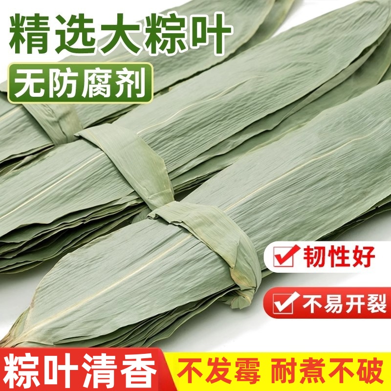 粽叶干大号粽子叶包粽子的叶子芦苇专用老式批发棕叶新鲜竹叶特大
