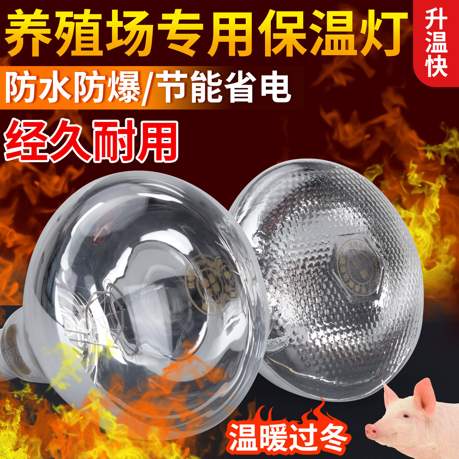 保温灯养殖场专用小鸡育图片