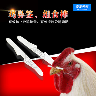 鼻签止抢母鸡/长度7cm/鸡/养/公鸡鼻签用公鸡/防食料桶鸡设备 鸡