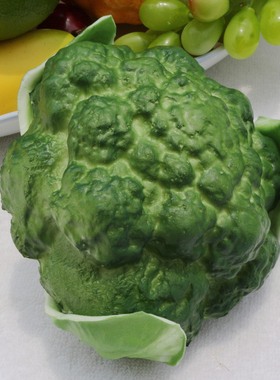 仿真西兰花绿色/白色仿真水果蔬菜模型 家居装饰品 幼儿启蒙教育