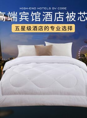 宾馆棉被春秋空调丝绵