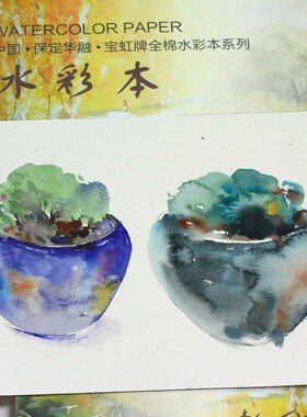 宝虹水彩本300g200g水彩纸宝虹棉浆纸32K16k8K四面封胶手绘插画水